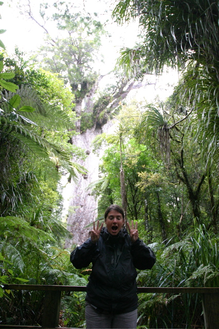 Largest tree in the Kauri Forest, New Zealand